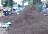 1. Lots of topsoil is needed